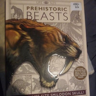 Mariote79145779's profile picture. El mar....