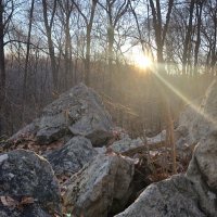Friends of Buttonhook Forest (@savebuttonhook) 's Twitter Profile