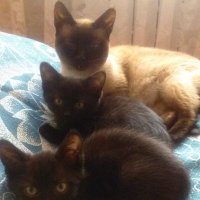 Kenan (@kenan59738605) Twitter profile photo