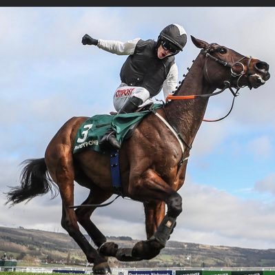 🇮🇪 🐎 Horse Racing ⚽️Liverpool FC