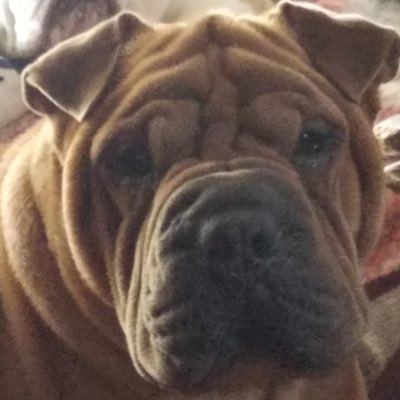 ParkerMoore55's profile picture. Lebron James = 🐐