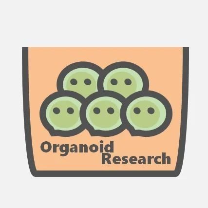 Sharing the latest organoid research and regenerative medicine news in Japan