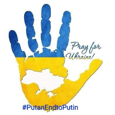 horstrader's profile picture. 