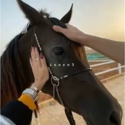 ” سهلًا منبسطًا، لكنّ داخله أعمق من أن يُطال .”