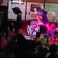 New Dodge shows (@dodgeshows) 's Twitter Profile
