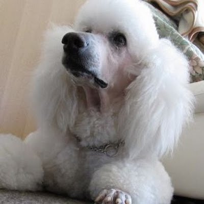 k_tkgs's profile picture. 