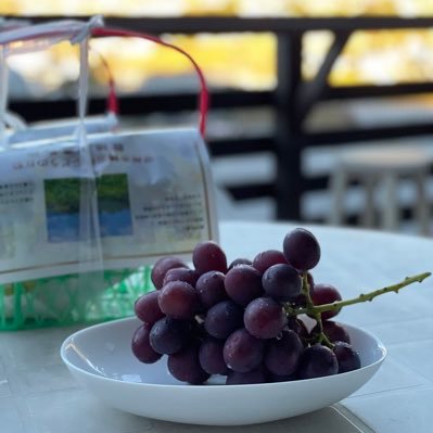 abyssactor_wani's profile picture. わに