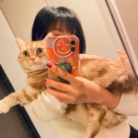 うさねこ_maomao(@syu48255904) 's Twitter Profile Photo