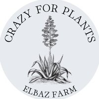 ELBAZ FARM (@elbazfarm) Twitter profile photo