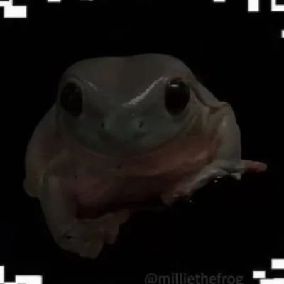 Ray_frogy's profile picture. He/him, like anime, and dyeing my hair!:)