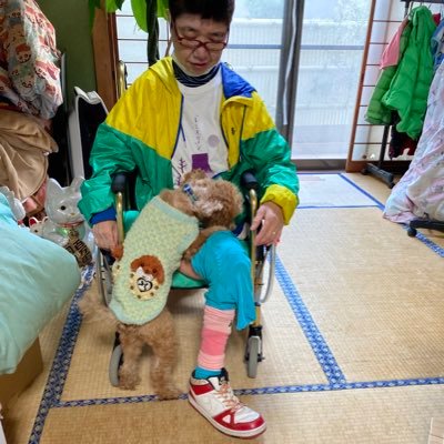 hoihoi0812's profile picture. 