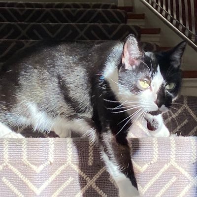 SydneyWacker's profile picture. pull up and feel blessed 🙌🏳️‍🌈🔥