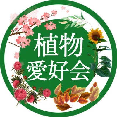 東京農業大学(世田谷)のサークルです！植物に興味がある農大生の集まりです🌿 入会希望の方はお気軽にDMください！年中部員募集中です！！！！！！！！！！！！！✉tuaplantslovers@gmail.com 🌷🌷🌷🌷🌷🌷🌷公式Instagramは下のリンクへ⬇️