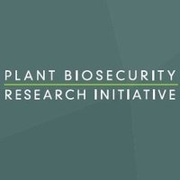 Plant Biosecurity Research Initiative(@PBRI_Australia) 's Twitter Profile Photo