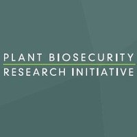 Plant Biosecurity Research Initiative (@pbri_australia) 's Twitter Profile