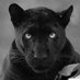 Jamey Hager (@jameyhager) Twitter profile photo