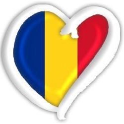 Ro_In_Spania's profile picture. 