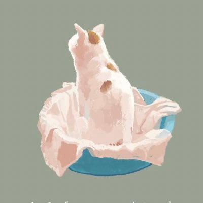 せなさんのプロフィール画像