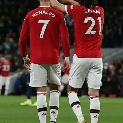 SFgoIRHGXOuwNHs's profile picture. 