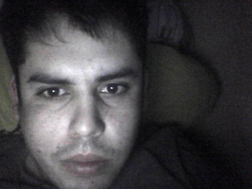 il_busta's profile picture. 