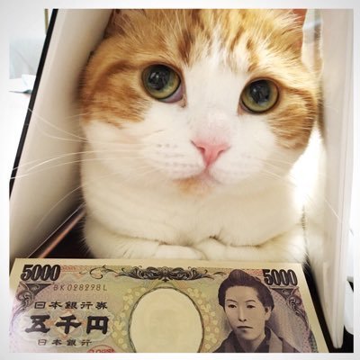 🇫🇷クレア👑さんのプロフィール画像