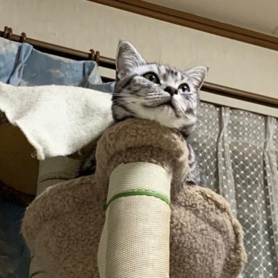 ミルミルさんのプロフィール画像