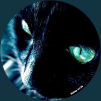 ❄️【 K 】: abc→全身打撲❄️ (@a_b_taka2) 's Twitter Profile