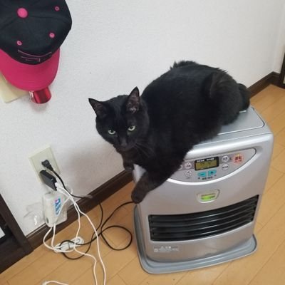 ゆーたろさんのプロフィール画像