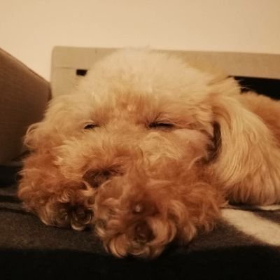 といまるさんのプロフィール画像