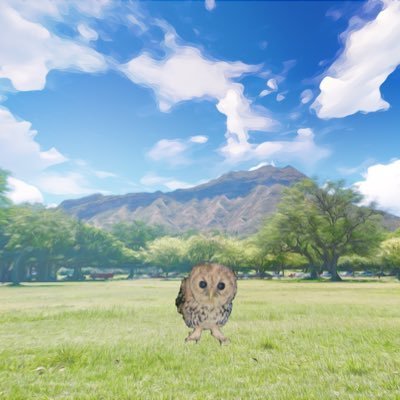 457572sol's profile picture. 天衣無縫(九蓮宝燈の別名) 距骨離断性骨軟骨炎により人工関節。記事や動画について感想(長文)を呟きます。ミュート推奨🙇‍♂️フォロバ後など事前の同意なくDMは基本ブロックします。リプ絡み無し、勝手なフォロー、自己判断で勝手にブロックします。