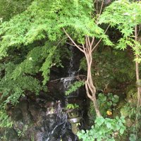 ほしとむ (@hoshitom007) 's Twitter Profile Photo