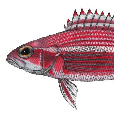 WAtlFish Profile Picture