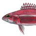 Ray Simpson (@watlfish) Twitter profile photo Ray Simpson (@watlfish) Twitter profile photo