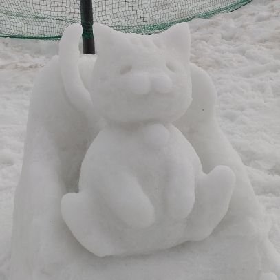 雪猫さんのプロフィール画像