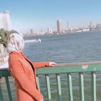 Wafaa🦋 (@wafaa_mostafaaa) 's Twitter Profile