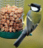 birdtables_'s profile picture. Large choice of bird tables and bird feeders available to attract wildlife into your garden. No garden? Get a window feeder they are excellent!