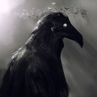 Proton Crow(@corvus_maximus) 's Twitter Profile Photo