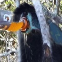 raccUwUn (@sparklev0id) 's Twitter Profile