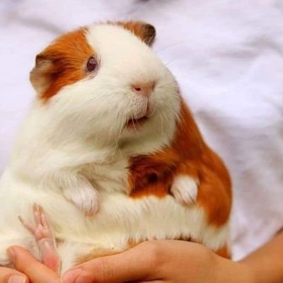 JackSpa55414071's profile picture. 