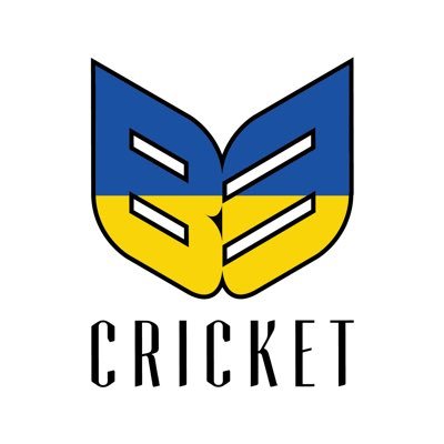 B3cricket Profile Picture