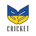 B3 Cricket (@B3cricket) Twitter profile photo