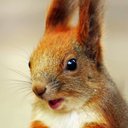 Marcus Ariel - @MarcusAriel99 - Twitter