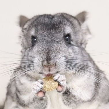 jamingair's profile picture. 다시 가자~ 
40대가 끌고 20대가 밀어주는 세상💙