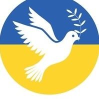 DC🇺🇦I Stand With Ukraine!(@dalseyd) 's Twitter Profile Photo