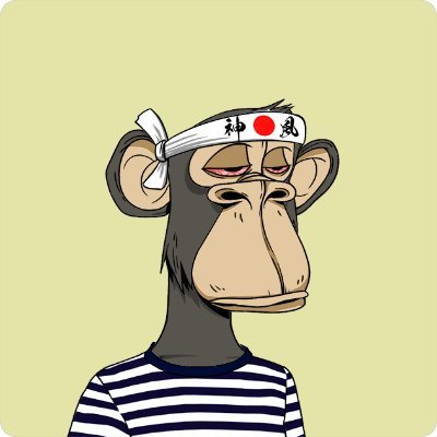 Bored_desires's profile picture. Degen paving the way// Working on a new project 🚀