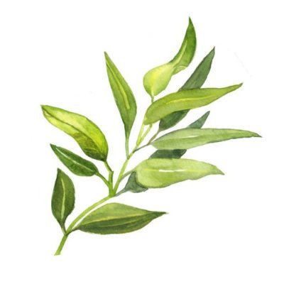 MayNa67486169's profile picture. 