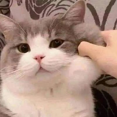 forcapcherr's profile picture. 