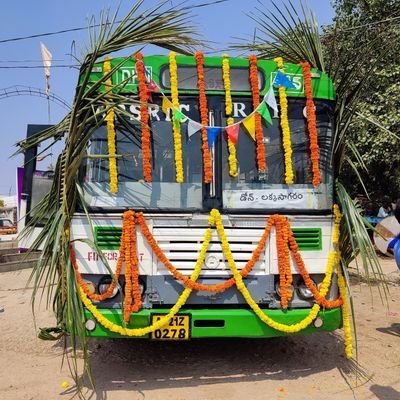 plvdsms's profile picture. 