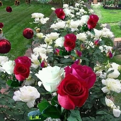 Khursha84432299's profile picture. Job