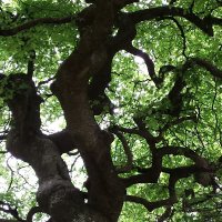 Ludovic Garnier (@ludovicgarnier3) 's Twitter Profile